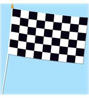 Checkered Flag 11x18in Rayon