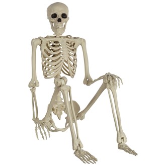 60in Yorrik Life Size Skeleton