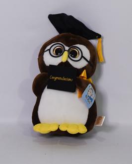Graduation Owl 10 in
