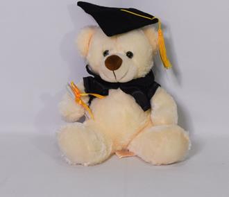 Graduation Bear 9in